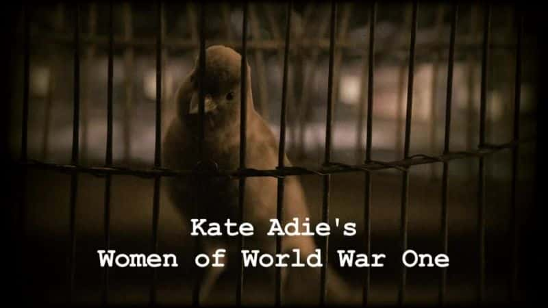 纪录片《第一次世界大战中的女性 Women of World War One》[无字][BT][720P]资源下载