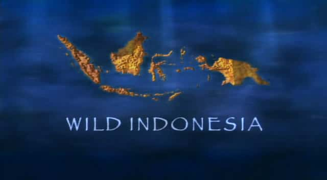 ¼ƬҰӡ Wild Indonesiaȫ3-Ļ/Ļ