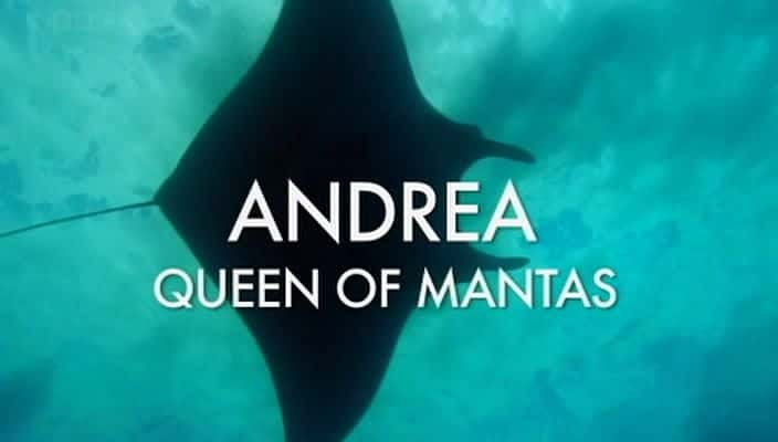 纪录片《安德里亚 - 蝠鲼女王 Andrea - Queen of Mantas》[无字][BT][1080P]资源下载