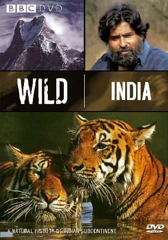 纪录片《狂野印度 Wild India》[无字][BT][1080P]资源下载