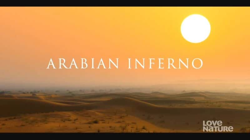 ¼Ƭ Arabian InfernoĻ/Ļ