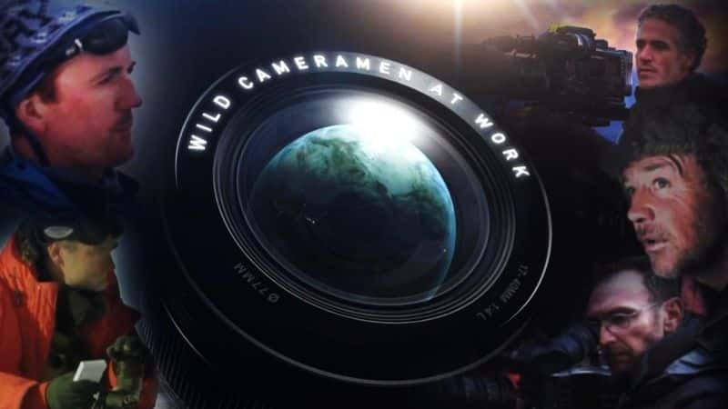 ¼ƬҰӰʦڹ Wild Cameramen at Workȫ4-Ļ/Ļ