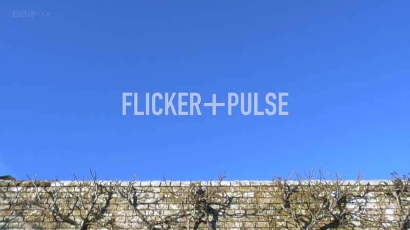 ¼ƬӢ԰һ꣺˸ A Year in an English Garden: Flicker and PulseĻ/Ļ