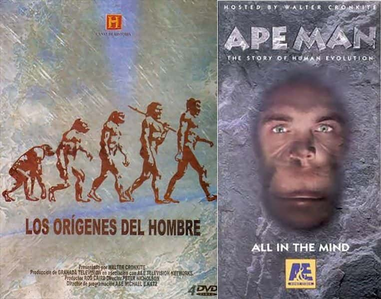 ¼ƬԳˣĹ Ape Man: The Story of Human EvolutionĻ/Ļ