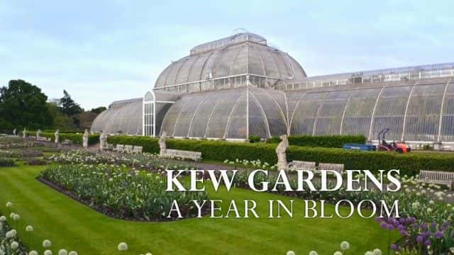 ¼ƬӢʼֲ԰һ A Year in Kew Gardens1080Pȫ1-Ļ/Ļ