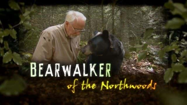 ¼Ƭ (BBC) Bearwalker of the Northwoods (BBC)1080Pȫ1-Ļ/Ļ