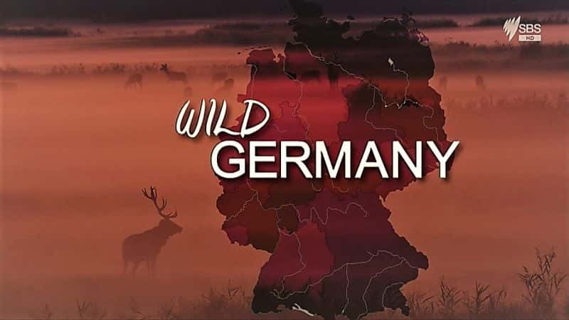 纪录片《狂野德国：系列 1 Wild Germany: Series 1》[无字][BT][720P]资源下载