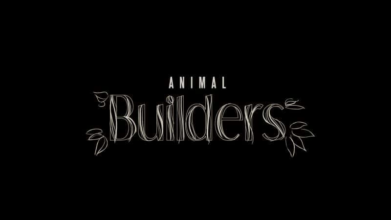 ¼Ƭｨ Animal Builders1080P-Ļ/Ļ