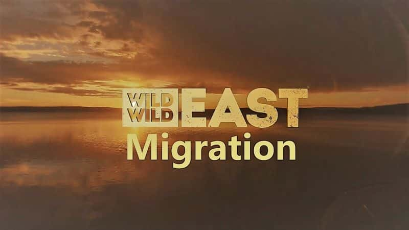 ¼ƬҰϵ 1Ǩ Wild Wild East Series 1: Migration1080P-Ļ/Ļ