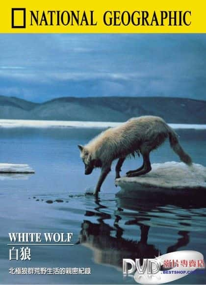 纪录片《白狼 White Wolf》[无字][BT][720P]资源下载