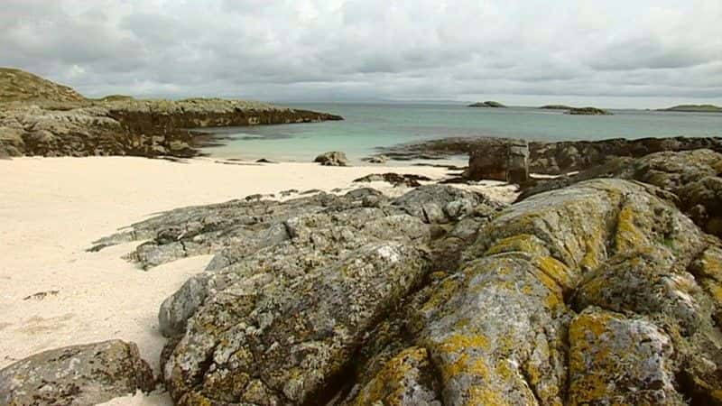 ¼ƬҰոˮ̡ȸͺ Wild Scotland: Otters Puffins and Sealsȫ1-Ļ/Ļ