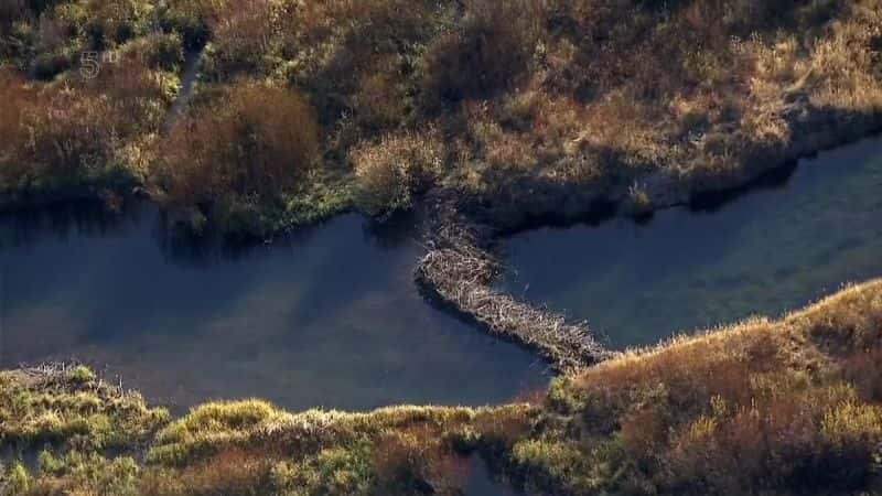 ¼Ƭ˹ά˹˹ά˹ Beaver Las Vegas: Saving the StripĻ/Ļ