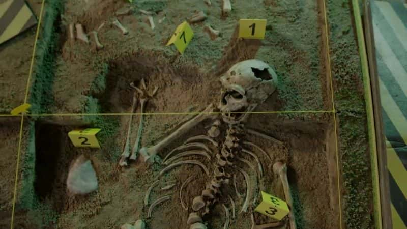 纪录片《谁杀死了尼安德特人？ - 扩展 Who Killed the Neanderthal? - Extended》[无字] [BT][DVD画质]资源下载