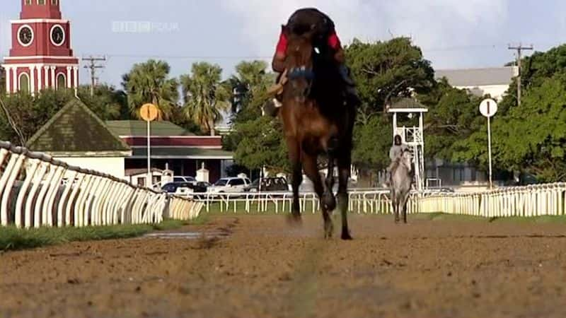 ¼ƬͰͶ˹ Barbados at the RacesĻ/Ļ