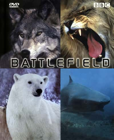 纪录片《动物战场 Animal Battlefield》[无字][BT][1080P]资源下载