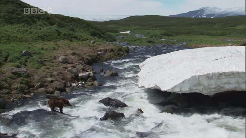 ¼ƬӰ뵺ˣ The Bear Man of Kamchatka: HDĻ/Ļ