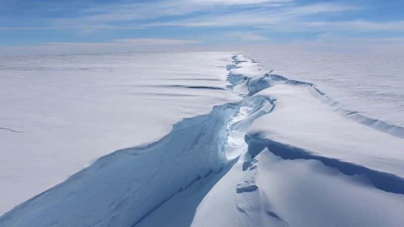 ¼ƬϼޣվԮ Antarctica: Ice Station Rescue1080Pȫ1-Ļ/Ļ