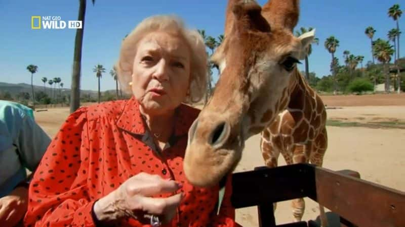 ¼Ƭ١رÿҰ Betty White Goes WildĻ/Ļ