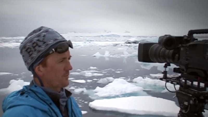 ¼ƬҰӰʦڹ Wild Cameramen at Workȫ4-Ļ/Ļ