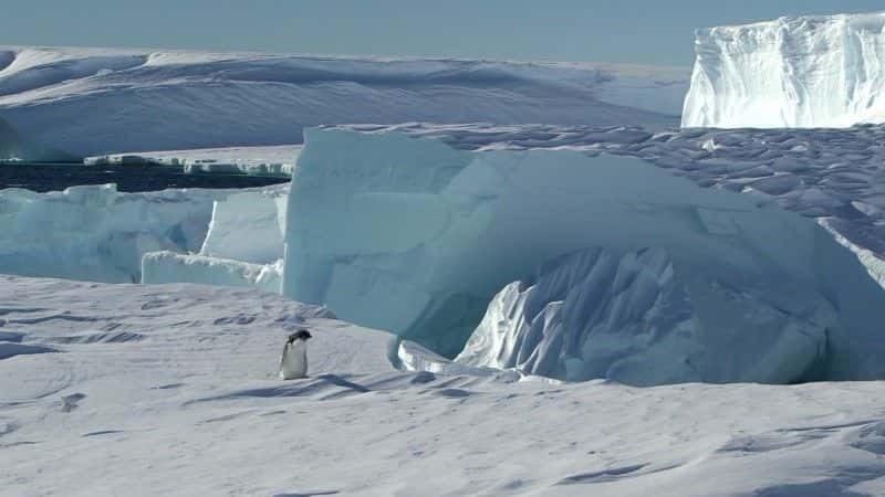 纪录片《南极洲：冰站救援 Antarctica: Ice Station Rescue》[无字][BT][720P]资源下载