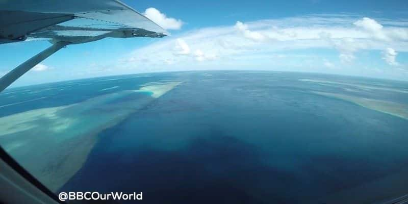 ¼Ƭ󱤽֮ս The Battle for the Great Barrier ReefĻ/Ļ