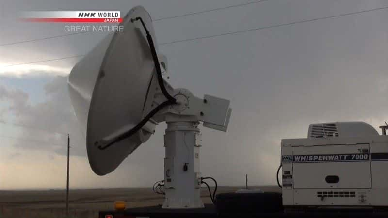 ¼ƬԿ籩 Battling Against Storms: Tornado Alleyȫ1-Ļ/Ļ