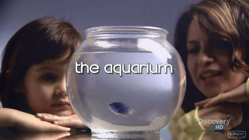 ¼Ƭˮ The AquariumĻ/Ļ