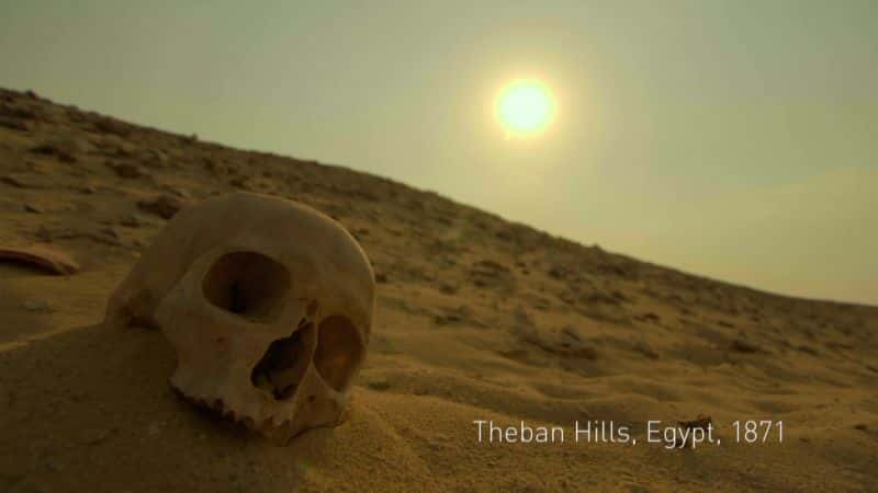 ¼Ƭ7000 ߶ľĺڰ 70 Million Animal Mummies: Egypt's Dark Secretȫ1-Ļ/Ļ