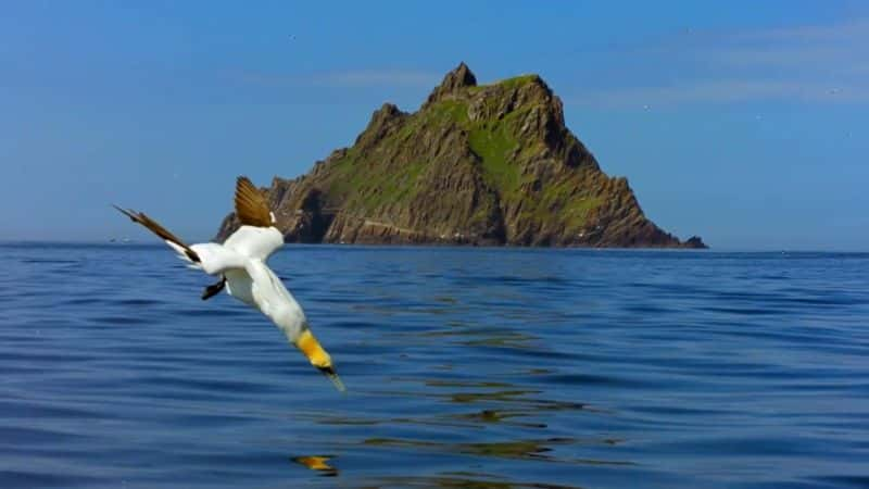 ¼ƬҰıԵ Wild Ireland: The Edge of the Worldȫ1-Ļ/Ļ