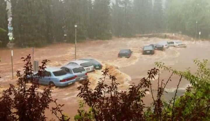 ¼ƬĴصĺˮ Australia's Greatest Floodȫ2-Ļ/Ļ