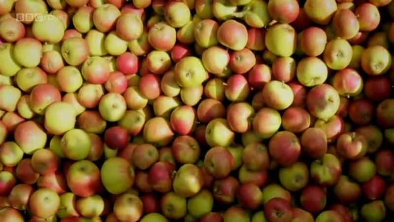 纪录片《苹果：英国的核心 Apples: British to the Core》[无字][BT][720P]资源下载