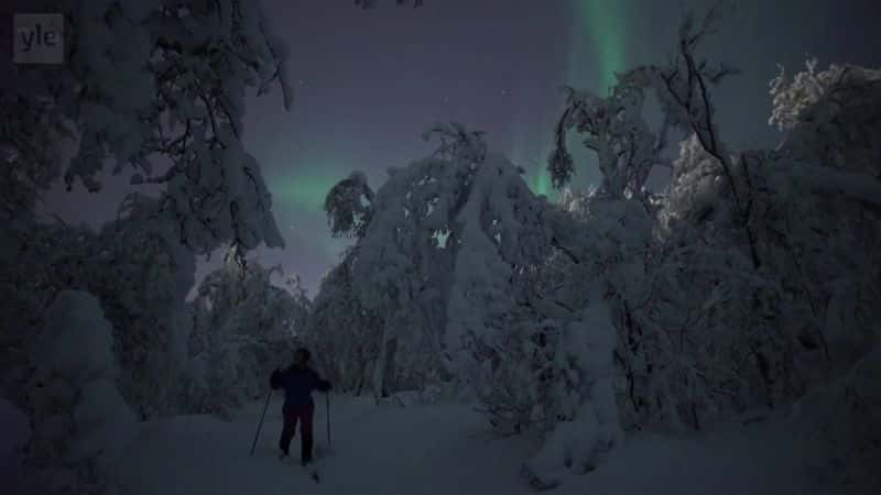 ¼Ƭ⣺µҹ Aurora Borealis: An Evening under the Northern LightsĻ/Ļ