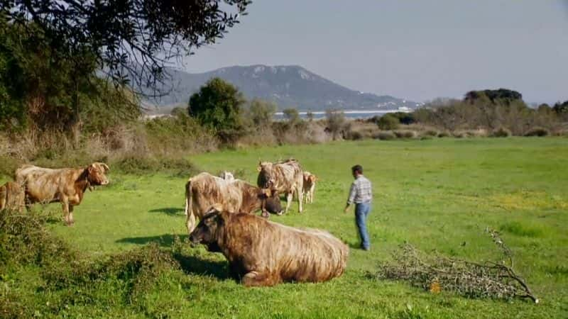 ¼Ƭķ Aerial FranceĻ/Ļ