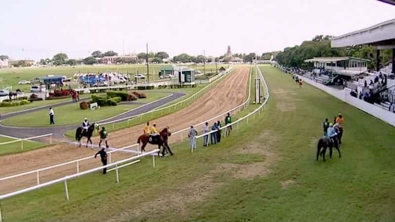 ¼ƬͰͶ˹ Barbados at the RacesĻ/Ļ