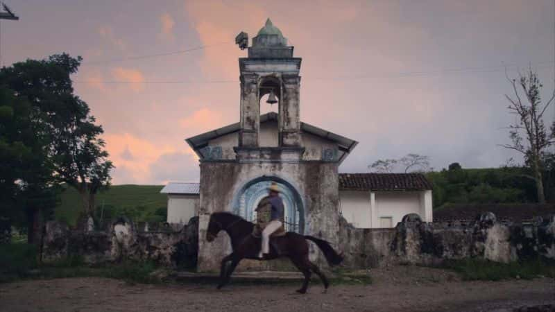 ¼Ƭī The Bat Man of Mexico1080Pȫ1-Ļ/Ļ