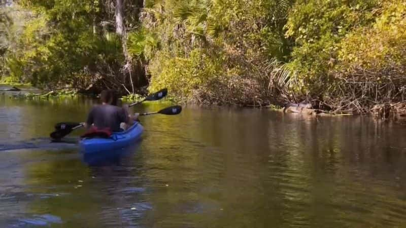 纪录片《美洲秘密游泳洞 Americas Secret Swimming Holes》[无字] [BT][DVD画质]资源下载