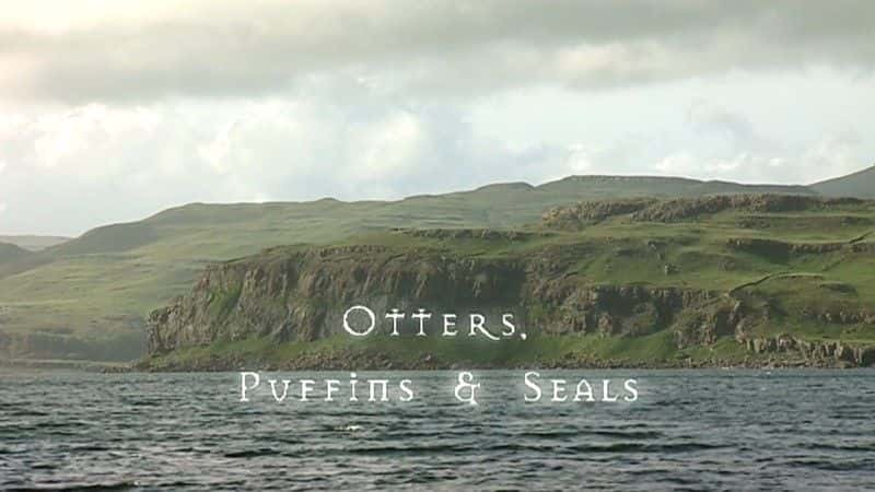 ¼ƬҰոˮ̡ȸͺ Wild Scotland: Otters Puffins and Sealsȫ1-Ļ/Ļ