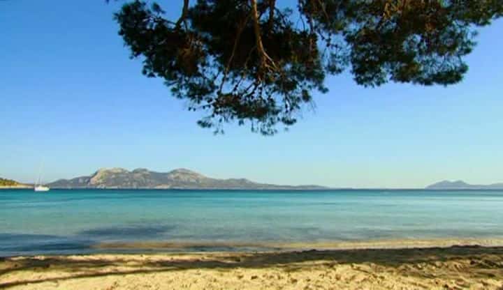 ¼ƬҰԿ (BBC) Wild Mallorca (BBC)ȫ1-Ļ/Ļ