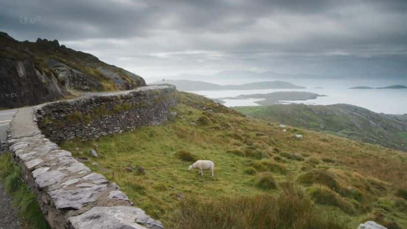 ¼ƬҰ (ITV) Wild Ireland (ITV)Ļ/Ļ