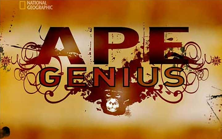 ¼ƬԳ Ape GeniusĻ/Ļ