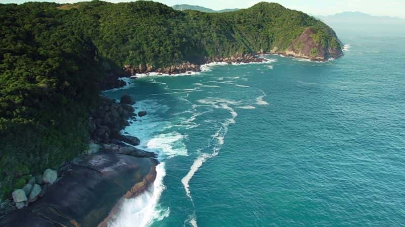 ¼ƬҰصȻ Wild Brazil - Mysterious Natural Paradiseȫ5-Ļ/Ļ