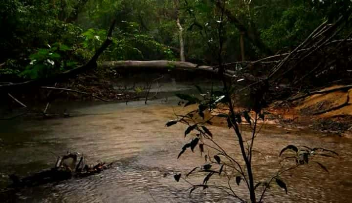 ¼ƬĴ֮ Australia Land of Parrotsȫ1-Ļ/Ļ