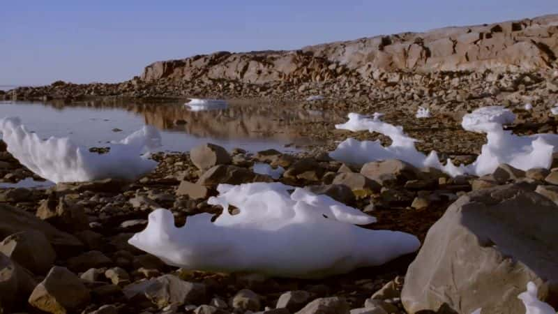 ¼Ƭܣϵ 2 Arctic Secrets: Series 21080P-Ļ/Ļ