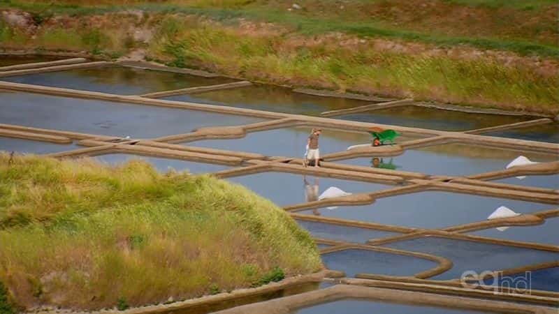 ¼Ƭķ Aerial FranceĻ/Ļ