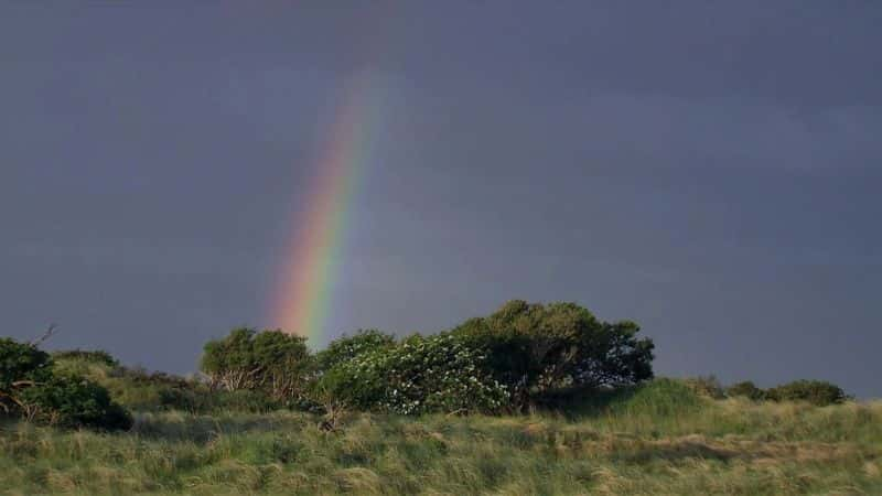 ¼Ƭʪ Wonderful Wetlands1080P-Ļ/Ļ