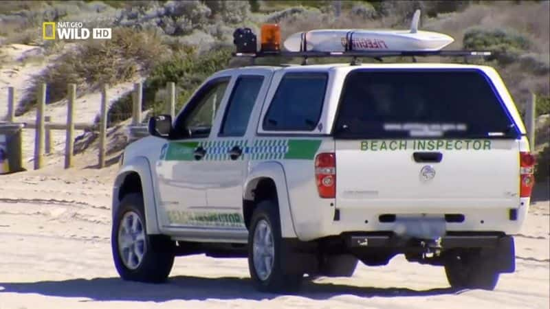 ¼ƬĴĵط㺣 Australia's Deadliest: Shark CoastĻ/Ļ