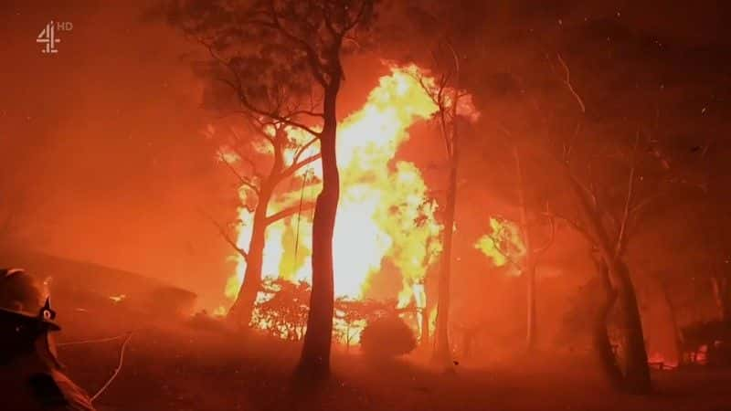 ¼ƬĴŻ Australia on Fire1080Pȫ1-Ļ/Ļ