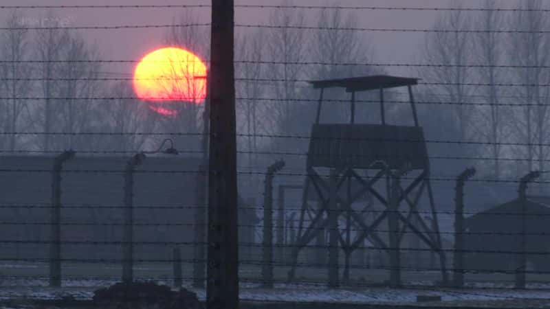 ¼Ƭ˹Ӫļ֤ Witness to Auschwitz1080Pȫ1-Ļ/Ļ