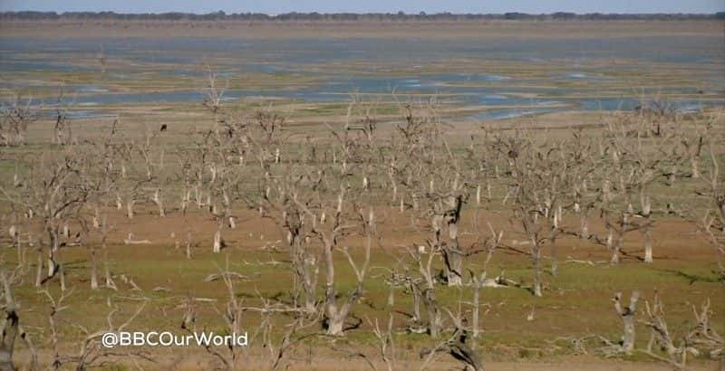 ¼ƬĴǵˮս Australia's Water WarsĻ/Ļ