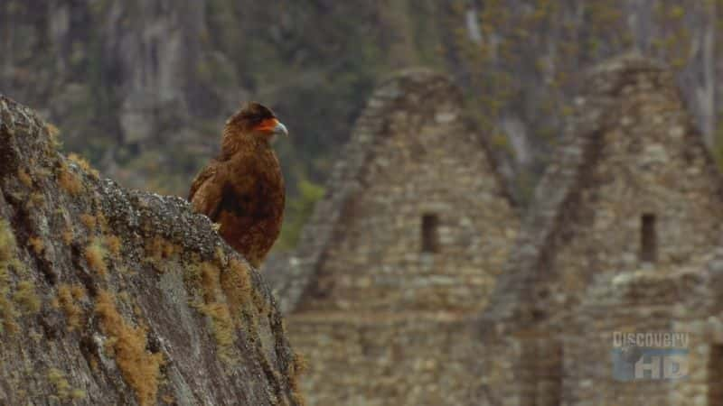 ¼Ƭİ˹ Andean Dawn at Machu PicchuĻ/Ļ